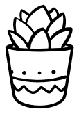 Succulent duo